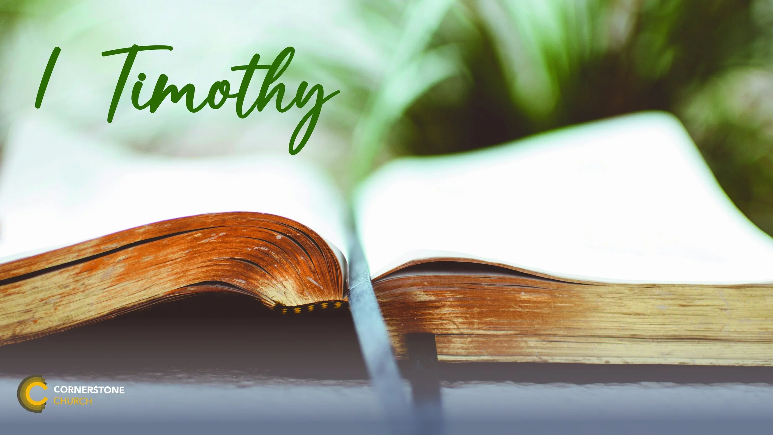 1Timothy.jpeg