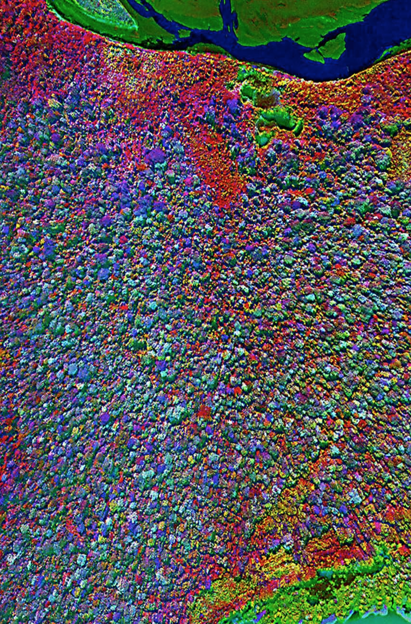 Screen Shot 2014-11-06 at 4.28.28 PM.png