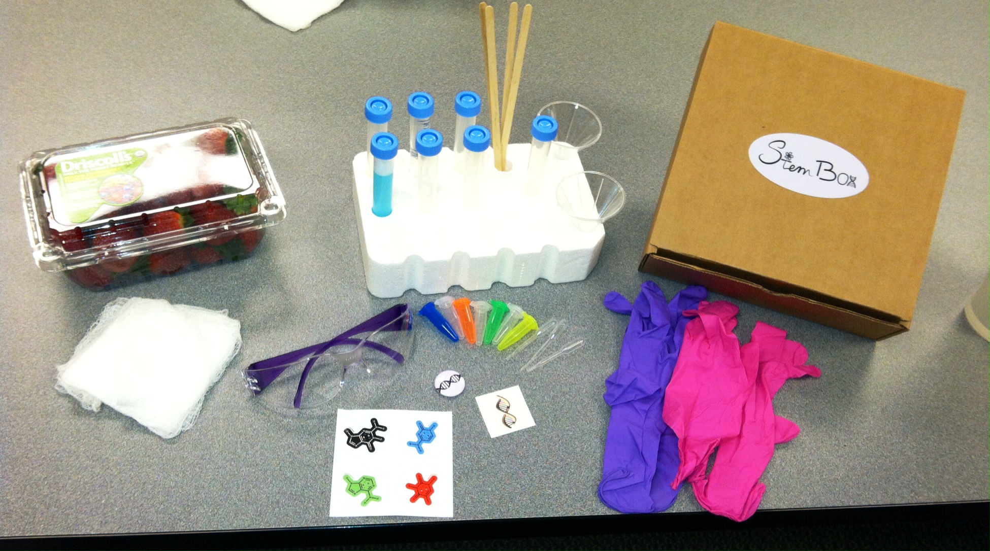 Strawberry DNA extraction box