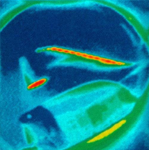 An image of the left wing (top) and OMS pod (bottom) of a shuttle, taken during re-entry by SILTS.