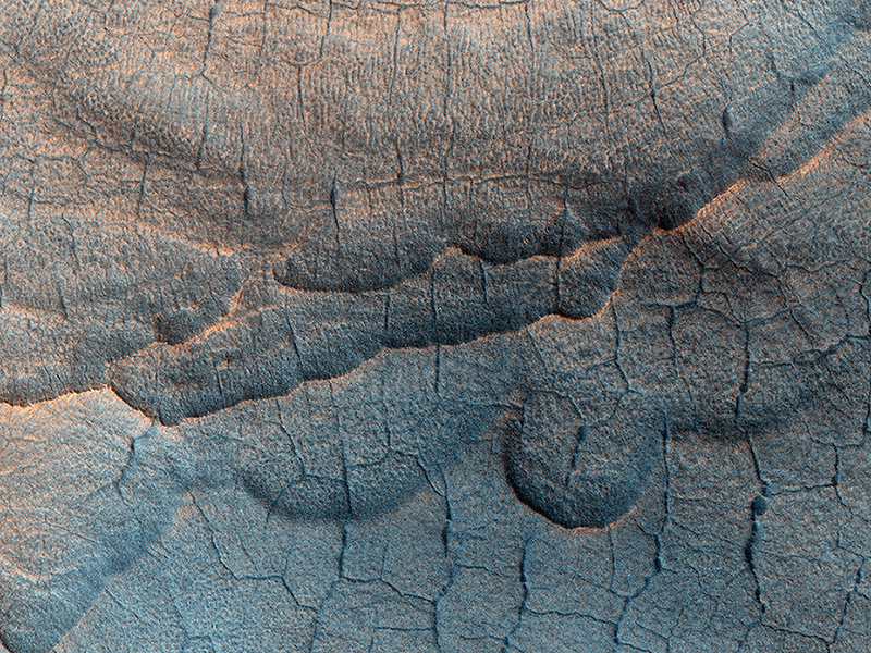 The scallops of Utopia Planitia