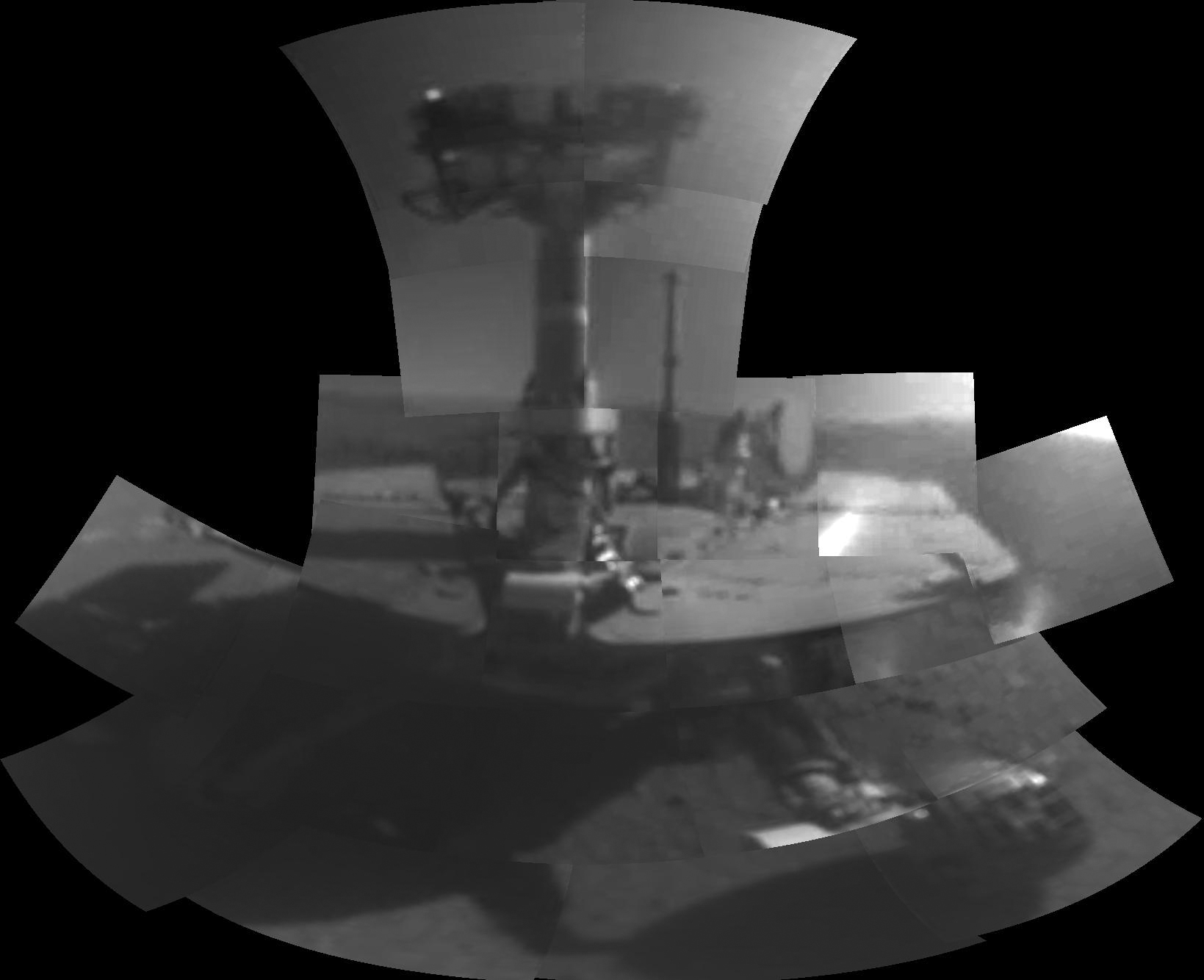 Oppy’s first selfie