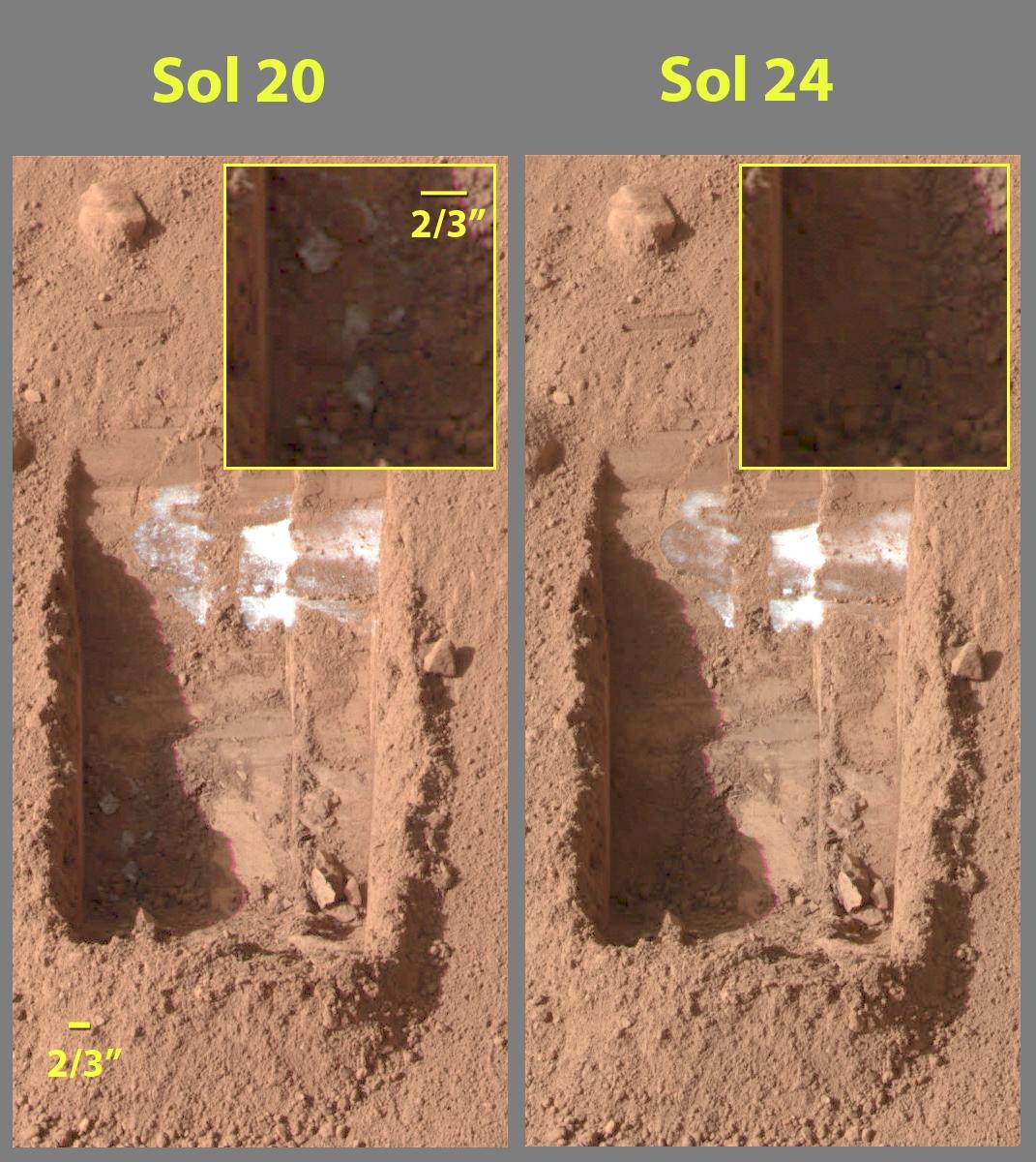 A Phoenix-genic scoop on Mars shows sublimating water ice