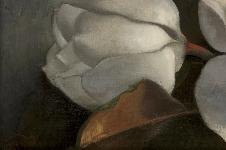 Magnolia 4.jpg