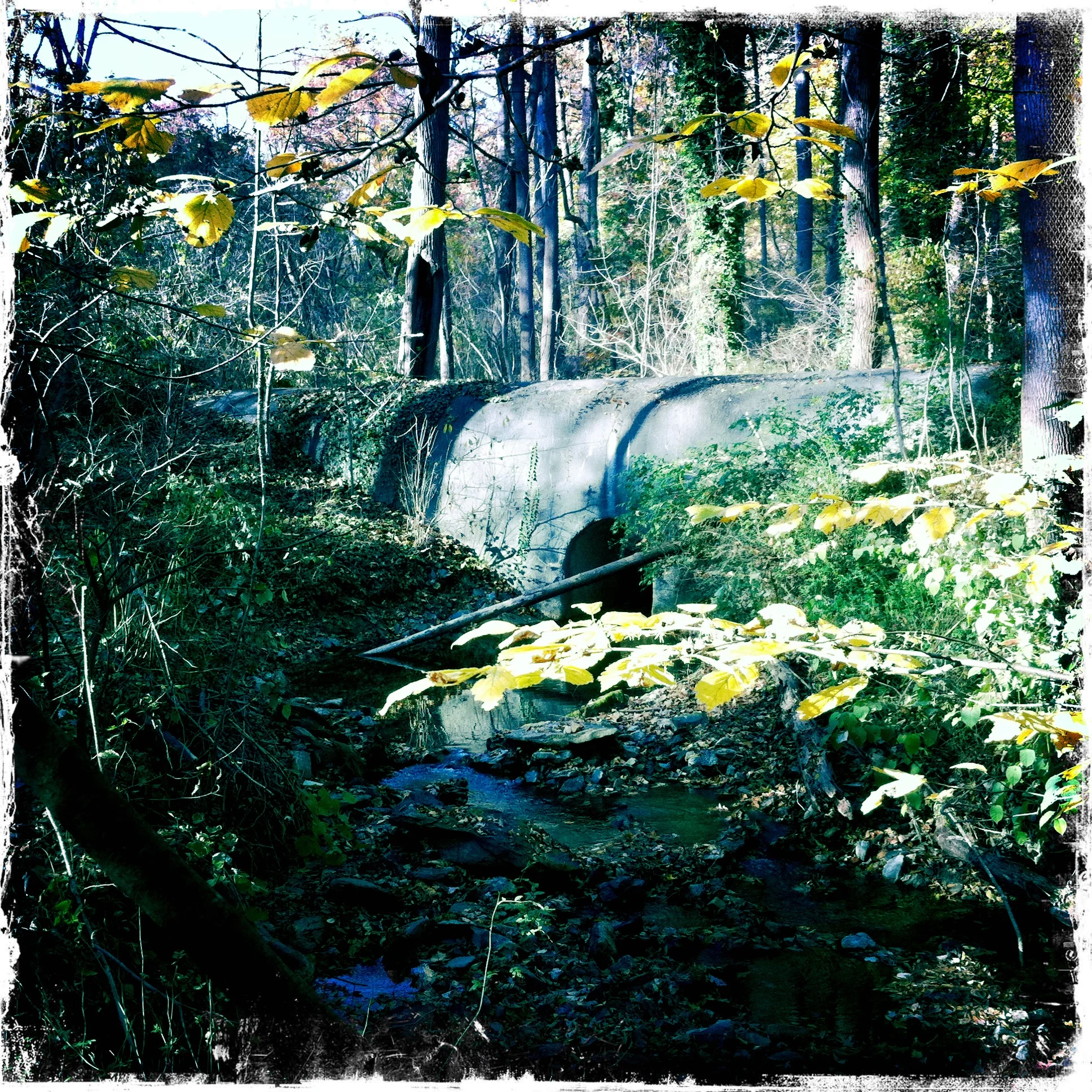 Homage to Cézanne; Cistern in Autumn - Wissahickon Creek