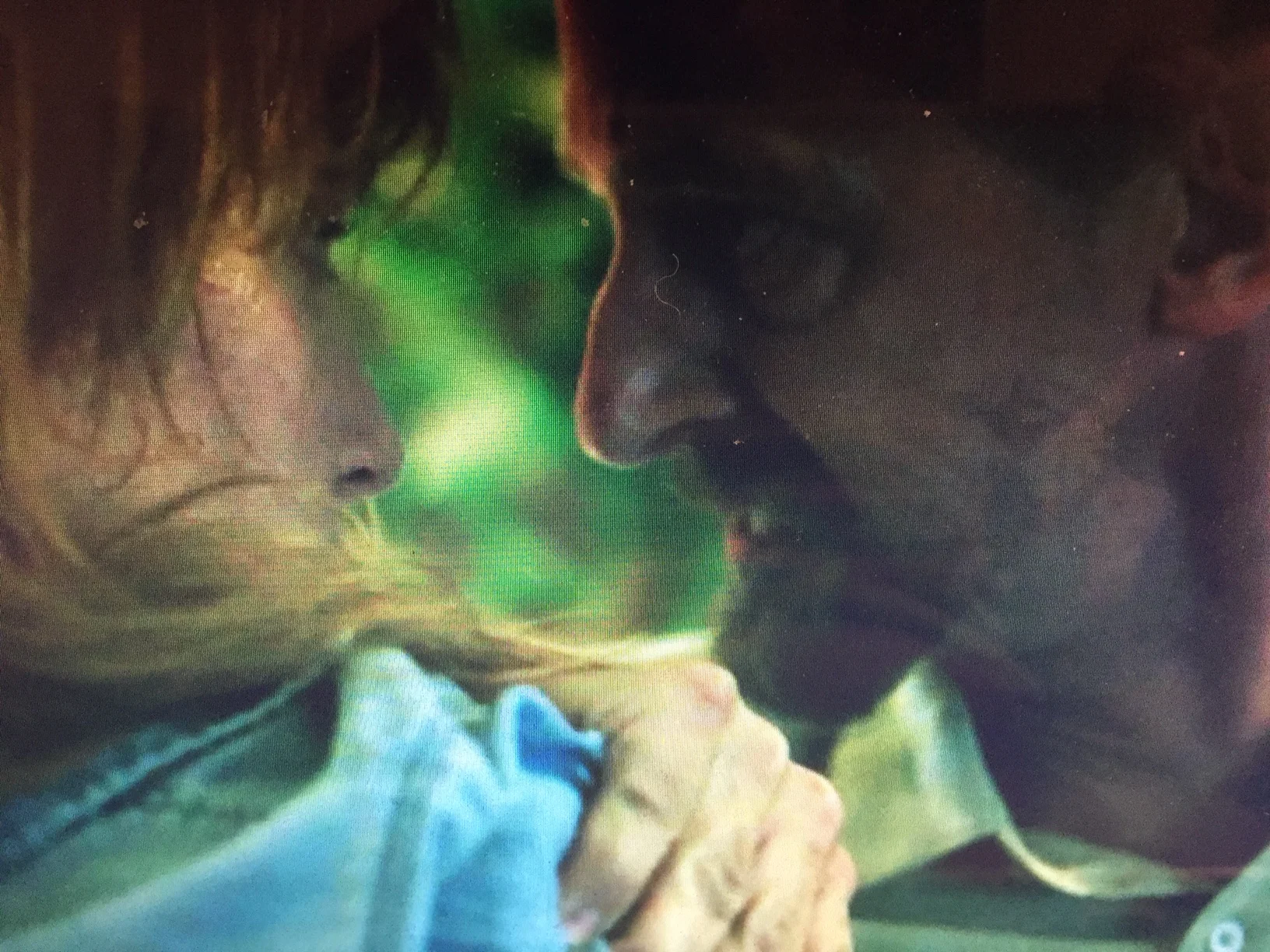 Outsiders   The Wife 