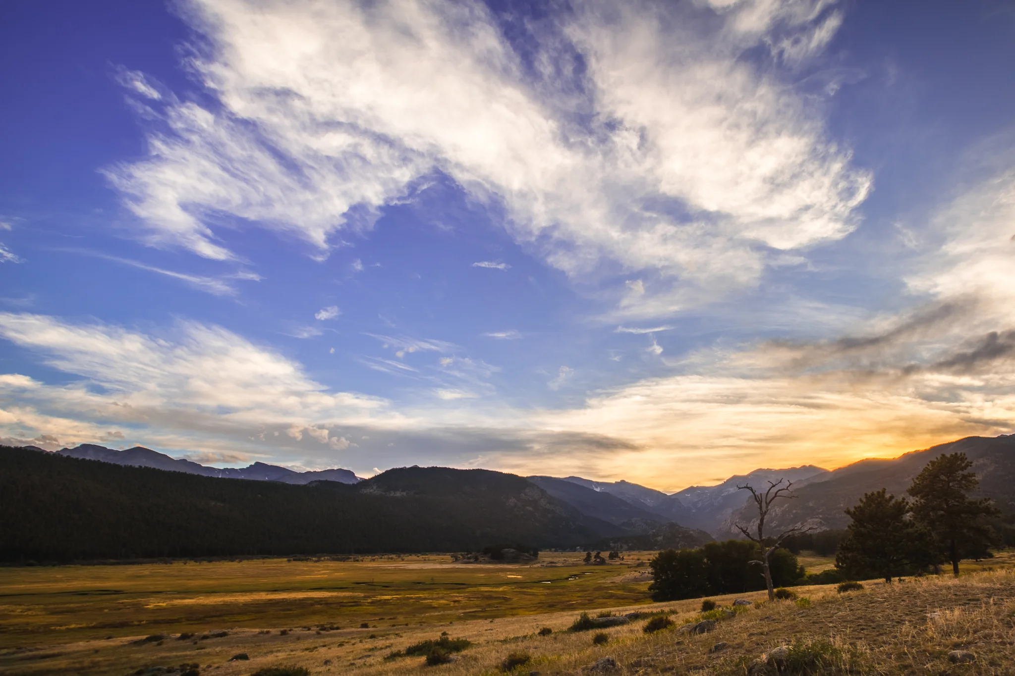 CQ9A0033-HDR.jpg