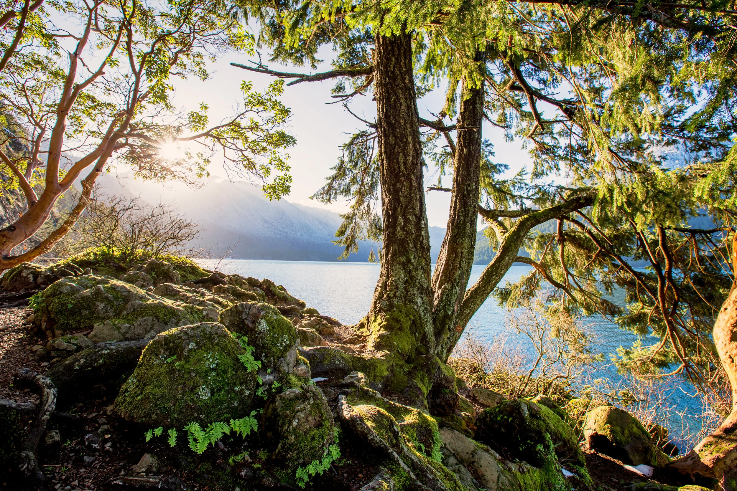 CQ9A1909-HDR-Edit.jpg
