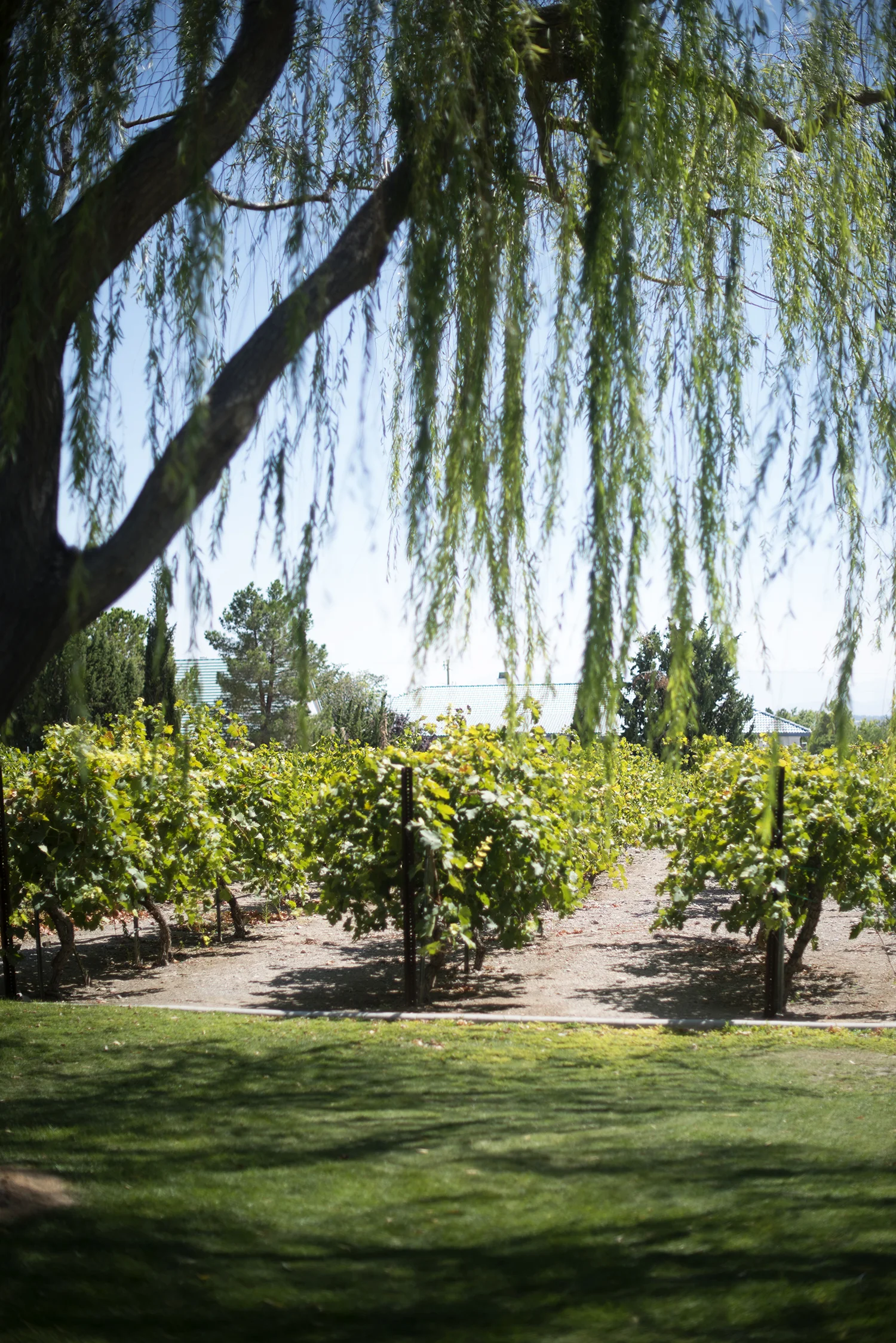 Pahrump010.jpg