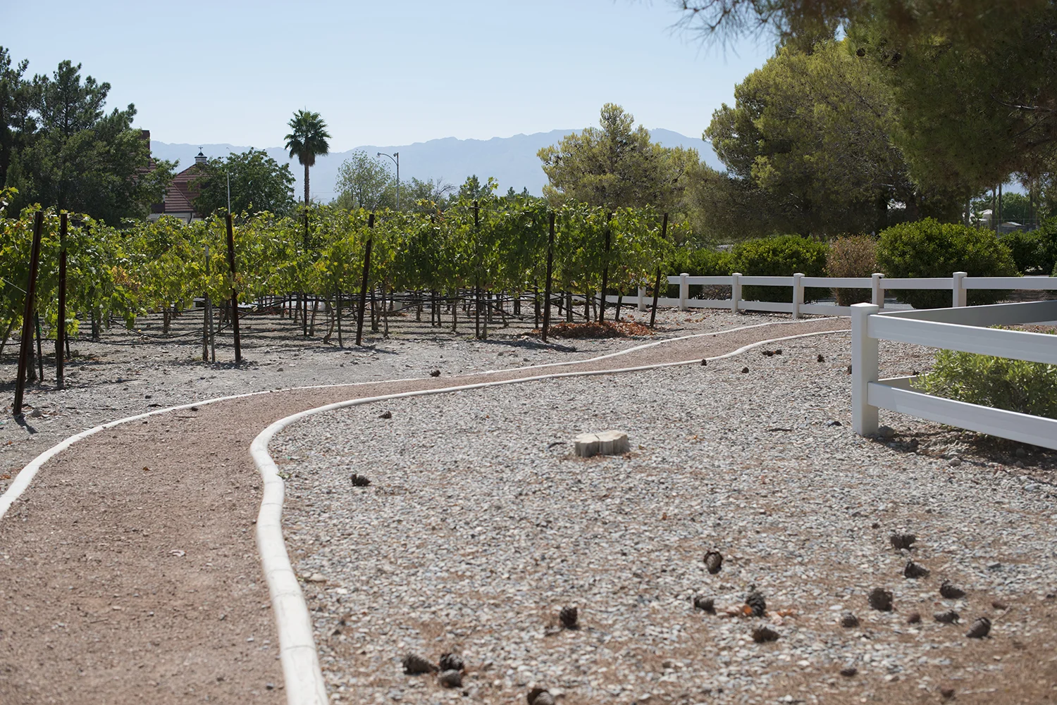 Pahrump014.jpg