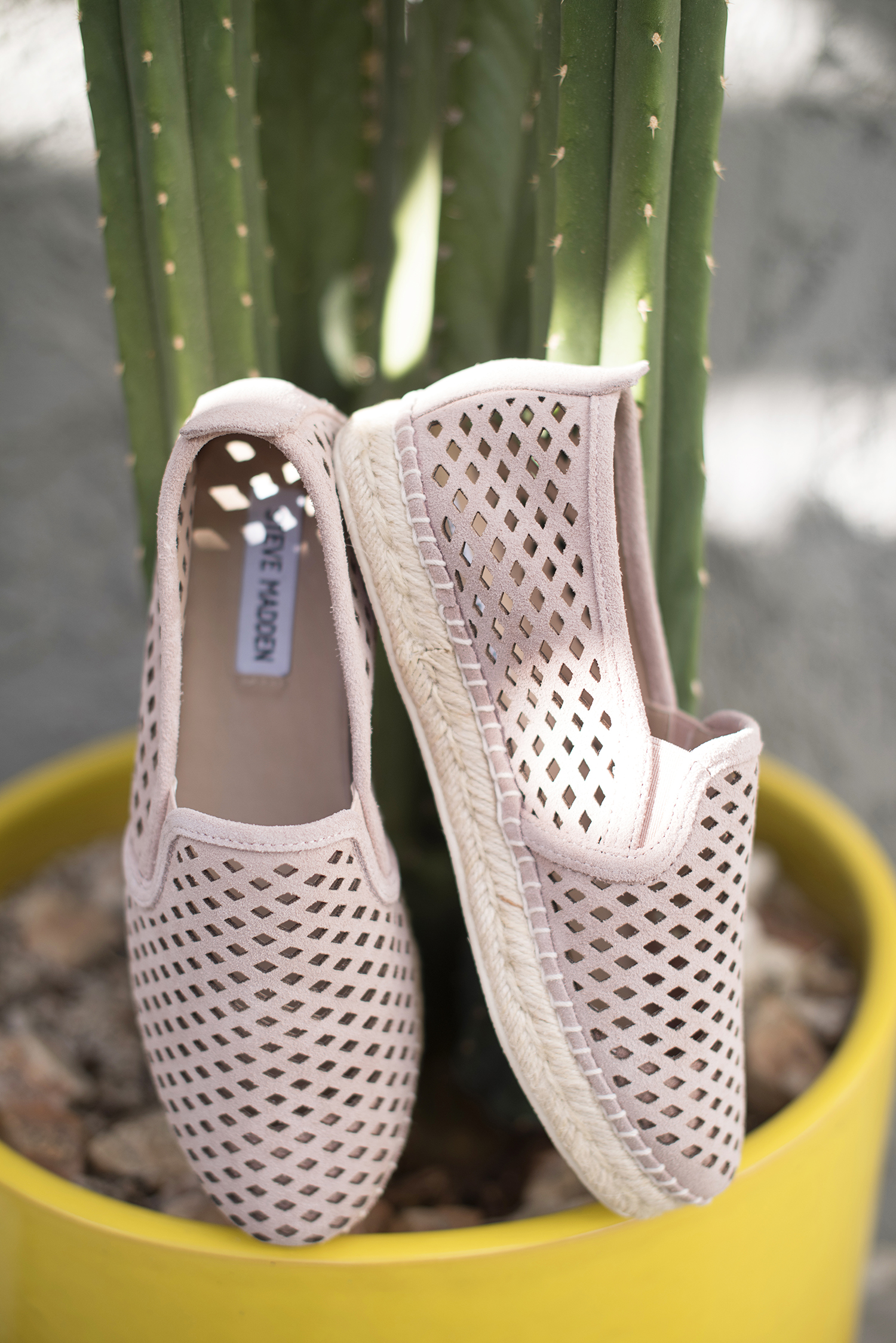 Neutrals006.jpg