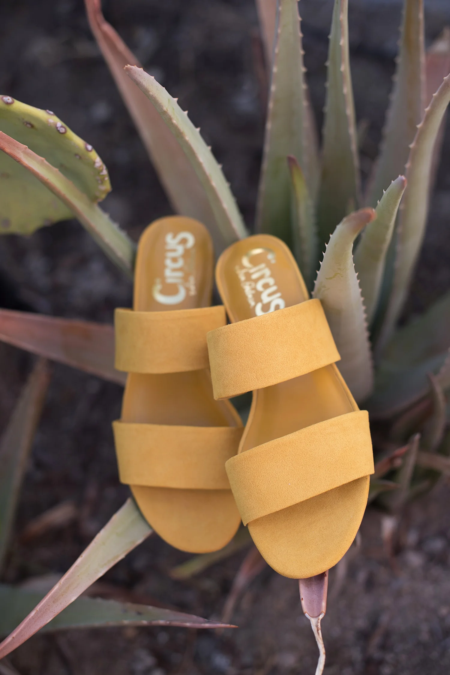 SlipOns001.jpg