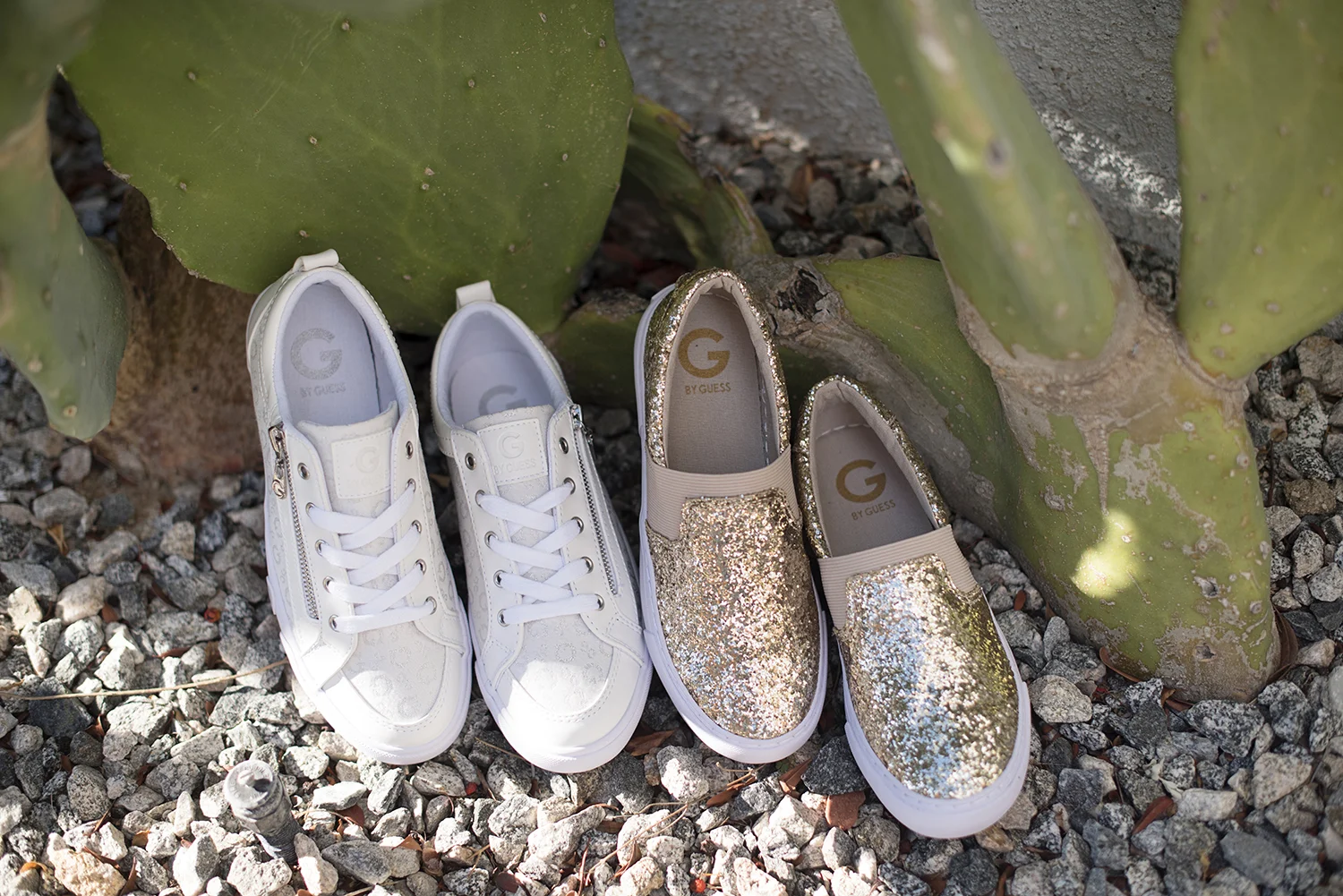 Sneakers001.jpg
