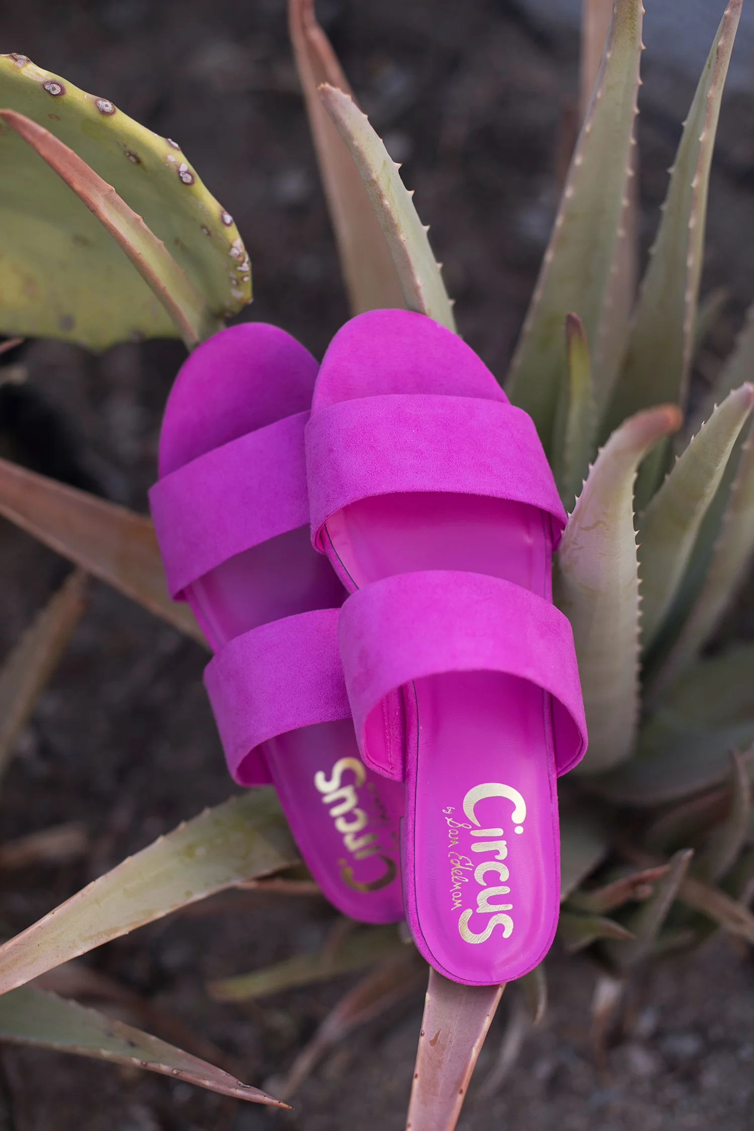 SlipOns002.jpg