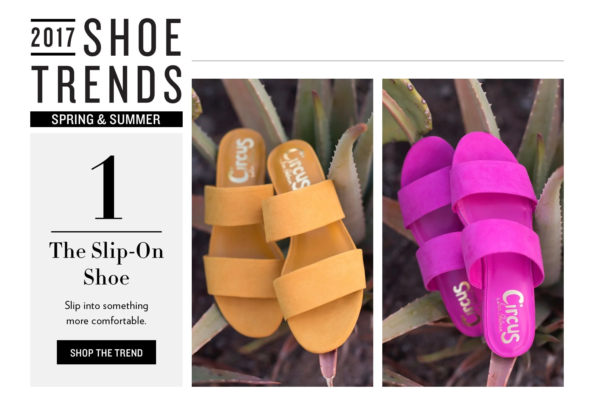 ShoeTrends001.jpg