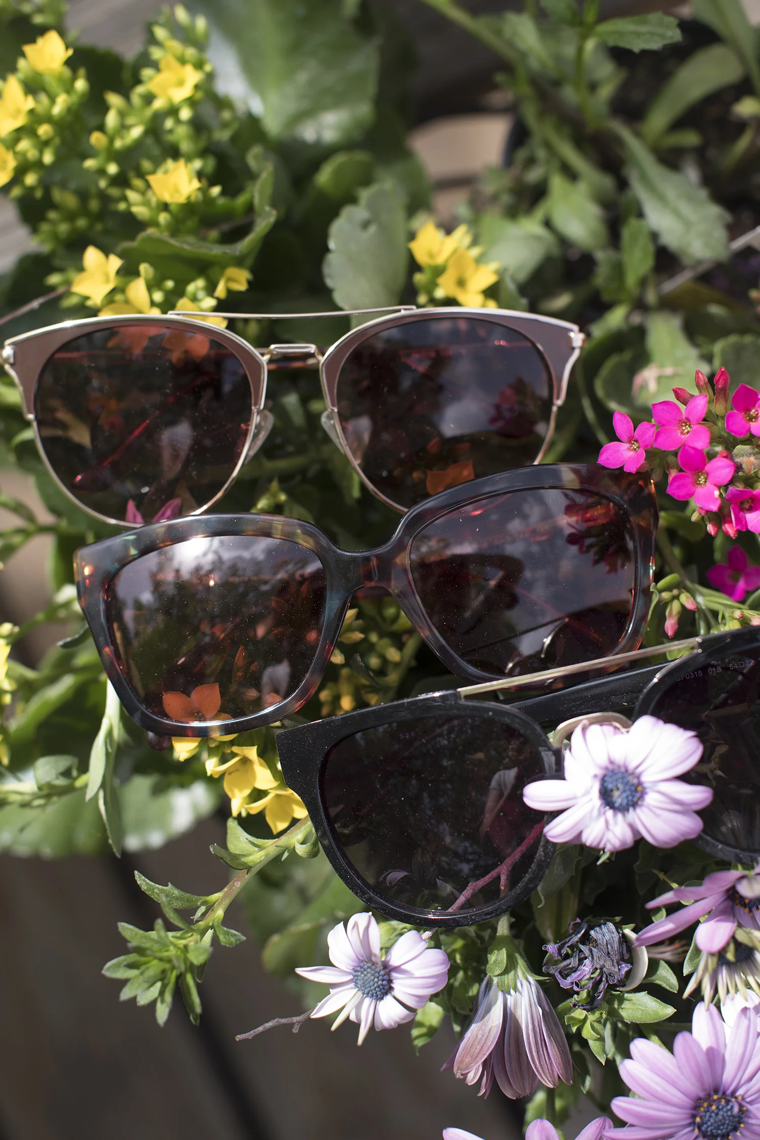 Sunglasses004.jpg