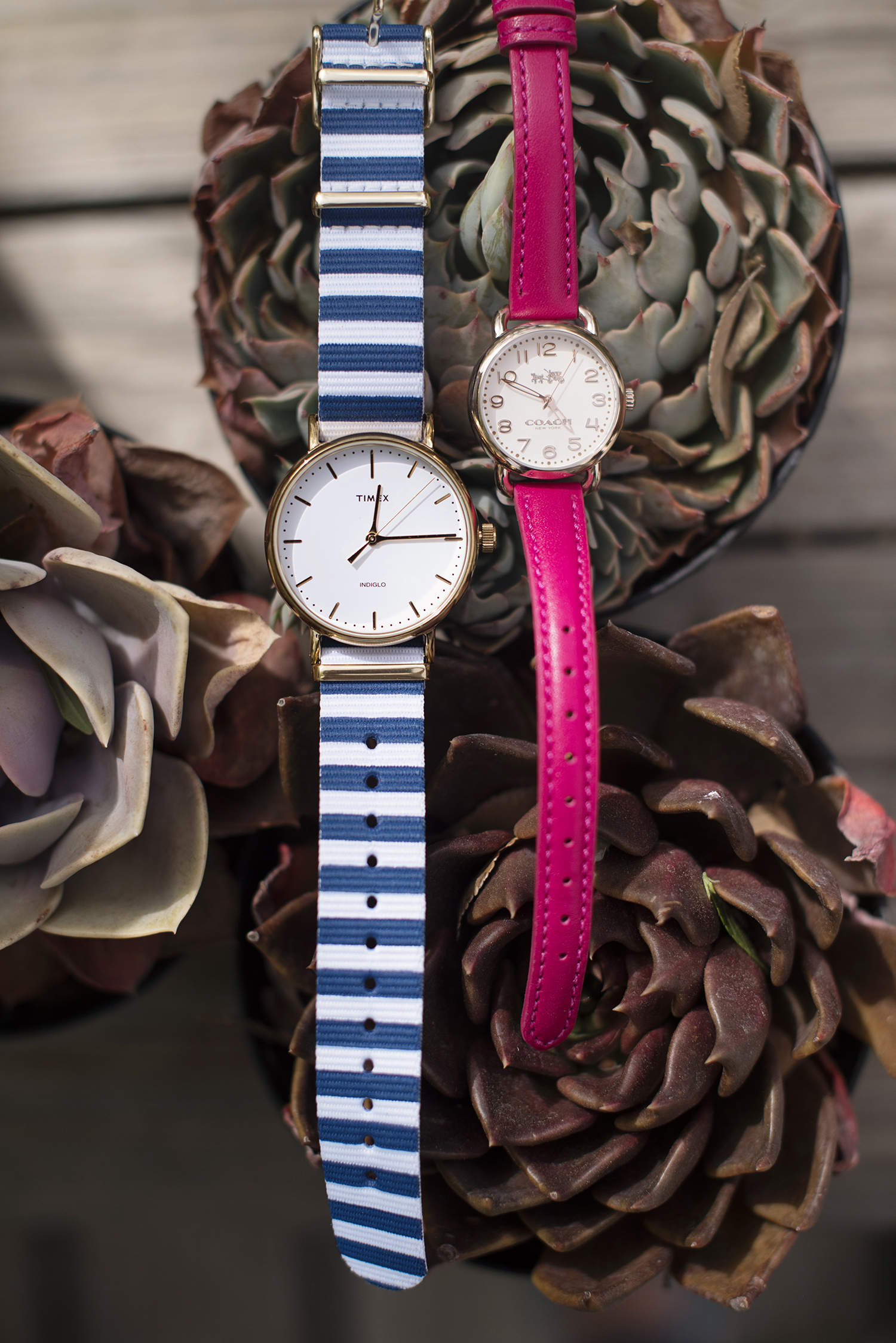 Watches002.jpg