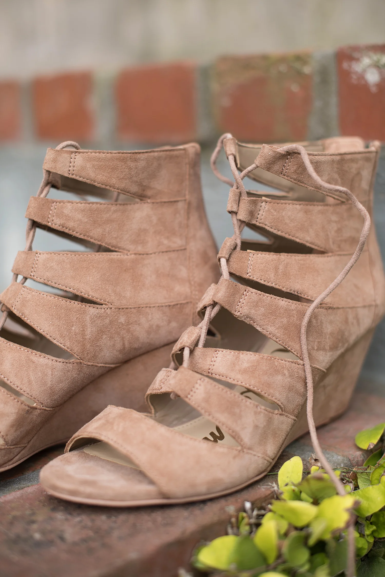 LaceUp004.jpg