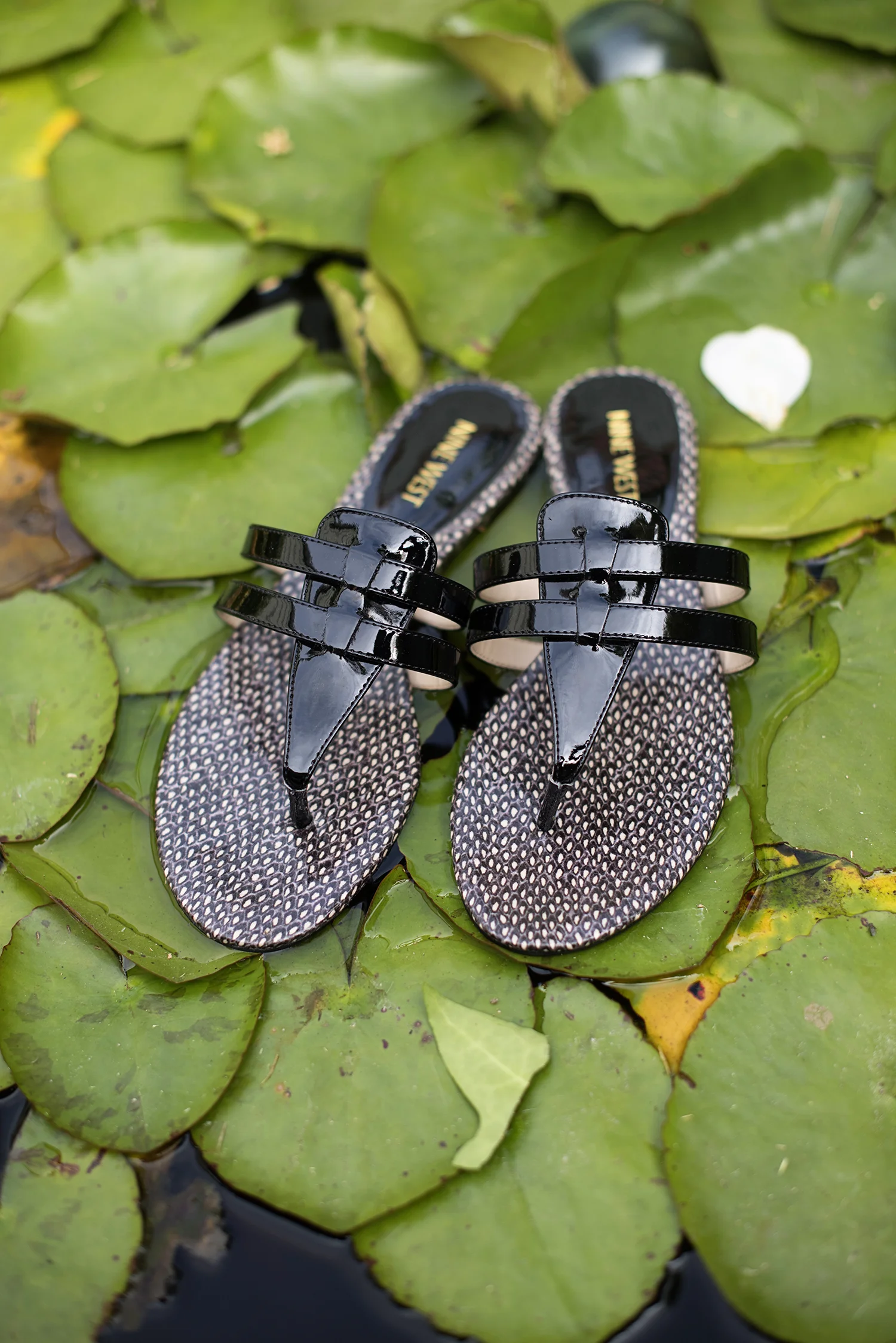 SlipOns001.jpg