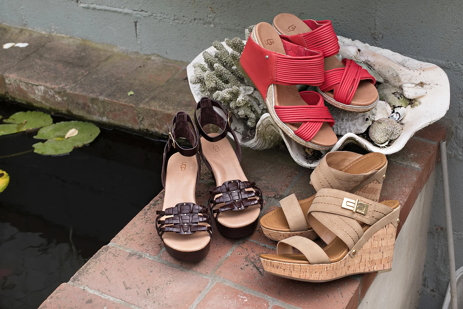 Wedges001.jpg