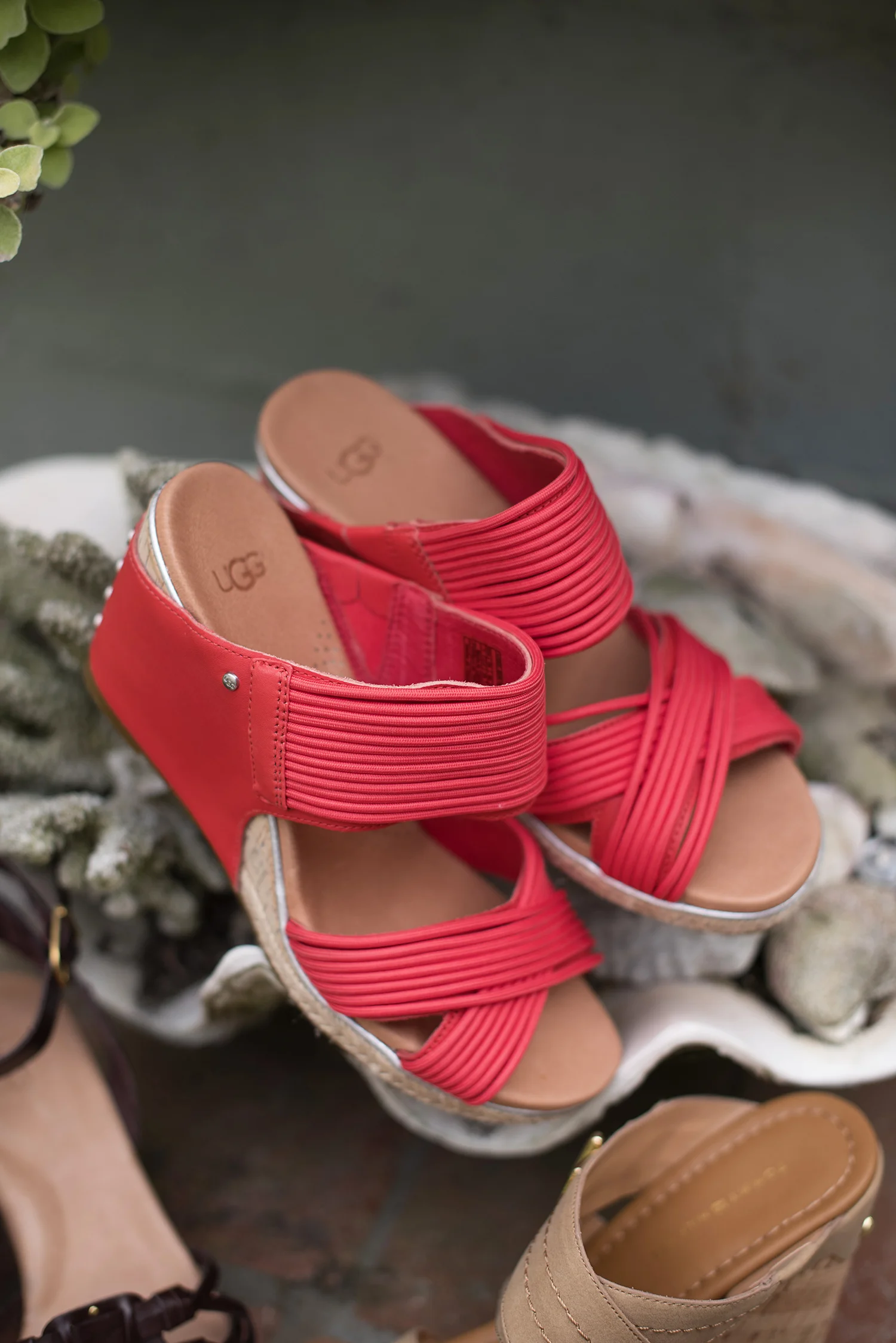 Wedges003.jpg