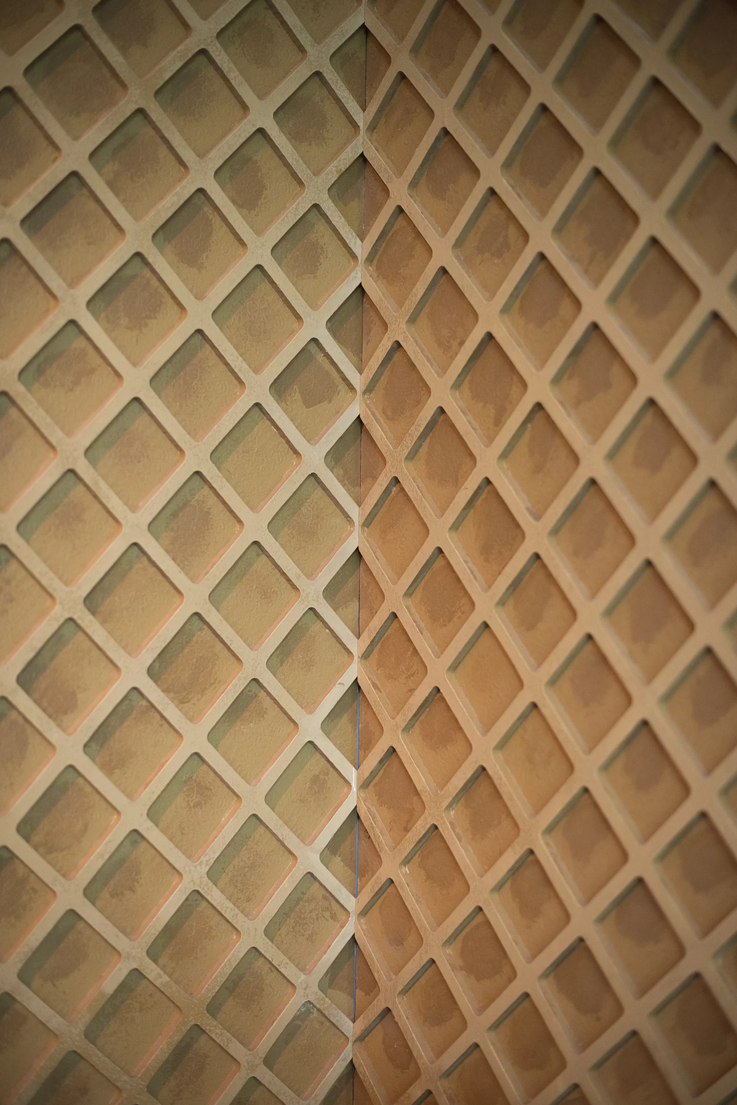 DSC_3141.jpg