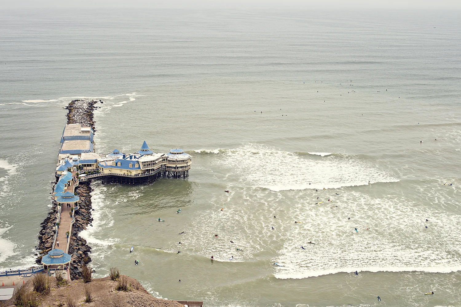 DSC_6550.jpg