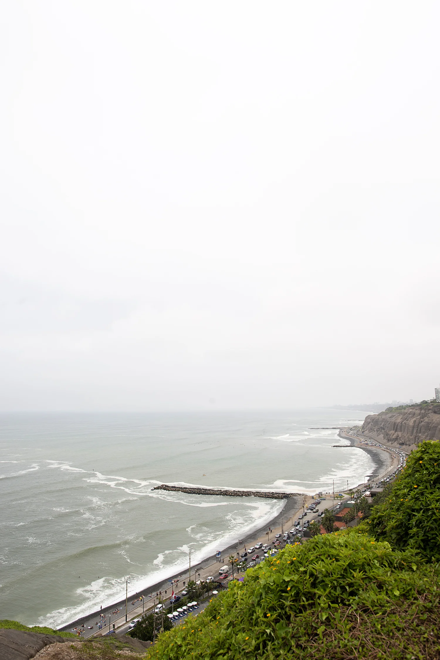 DSC_6558.jpg