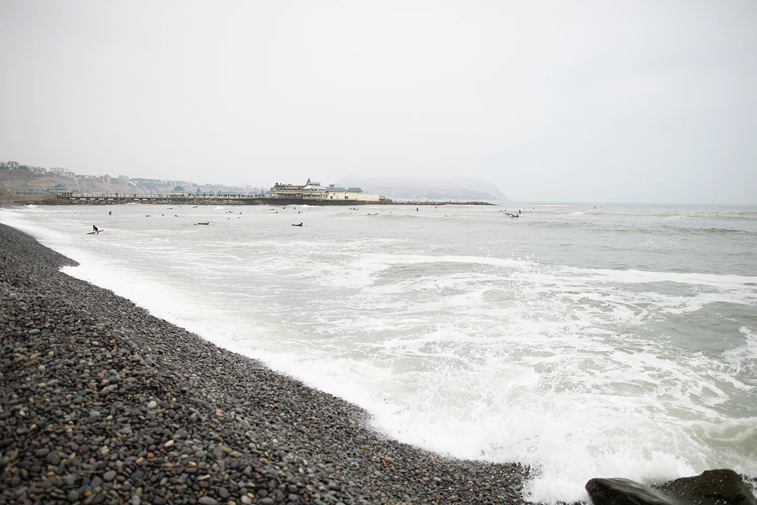 DSC_6566.jpg