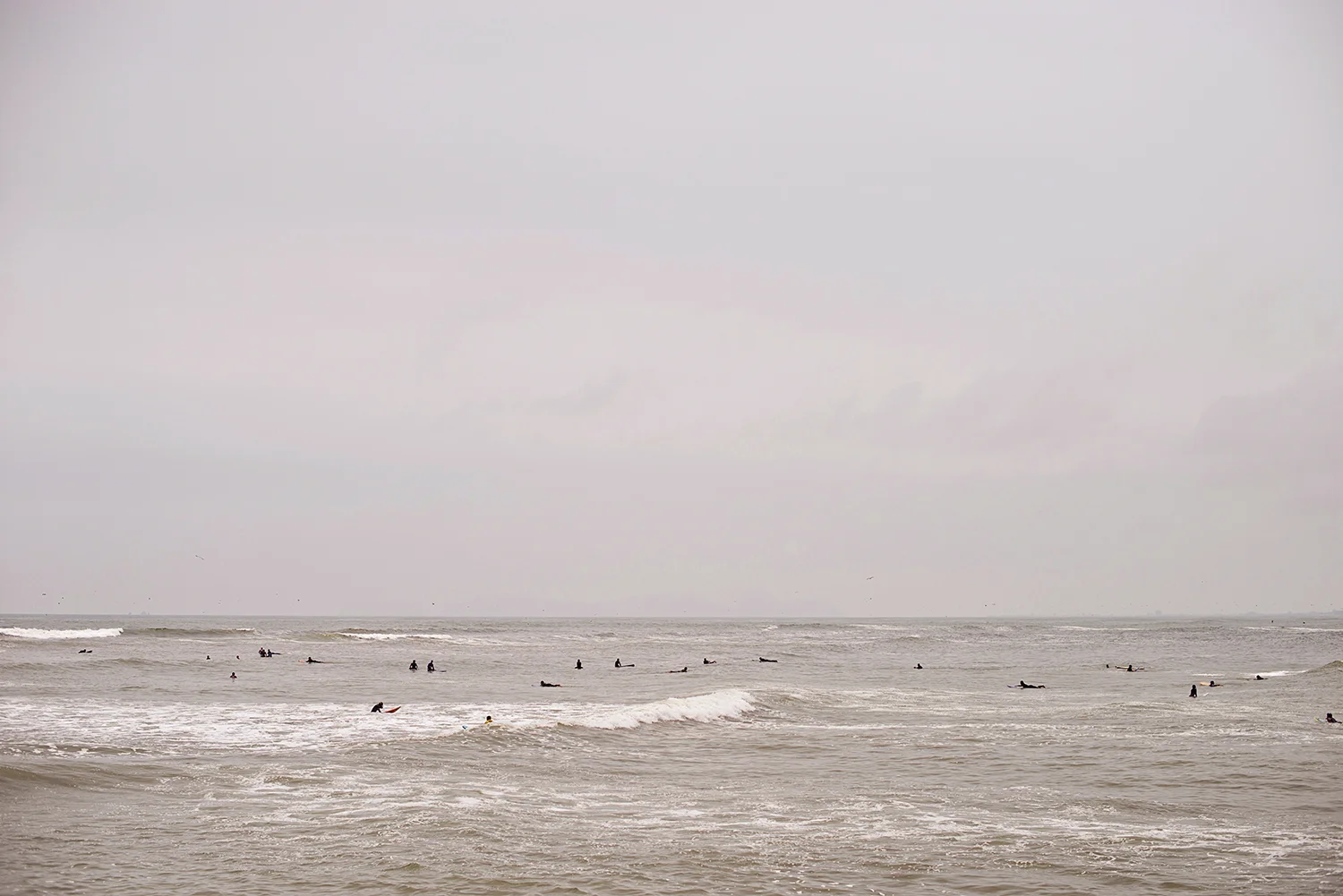 DSC_6581.jpg