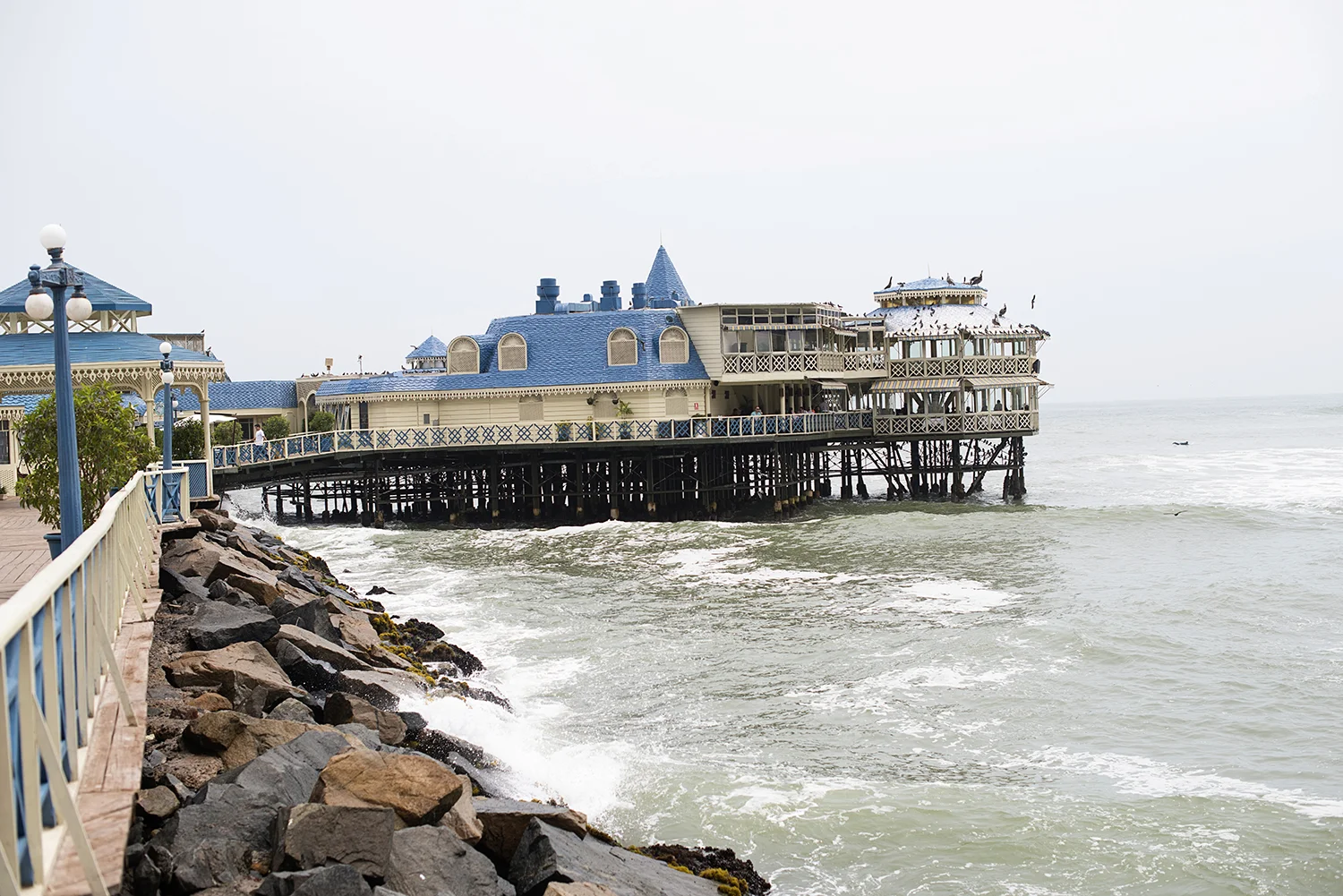 DSC_6582.jpg