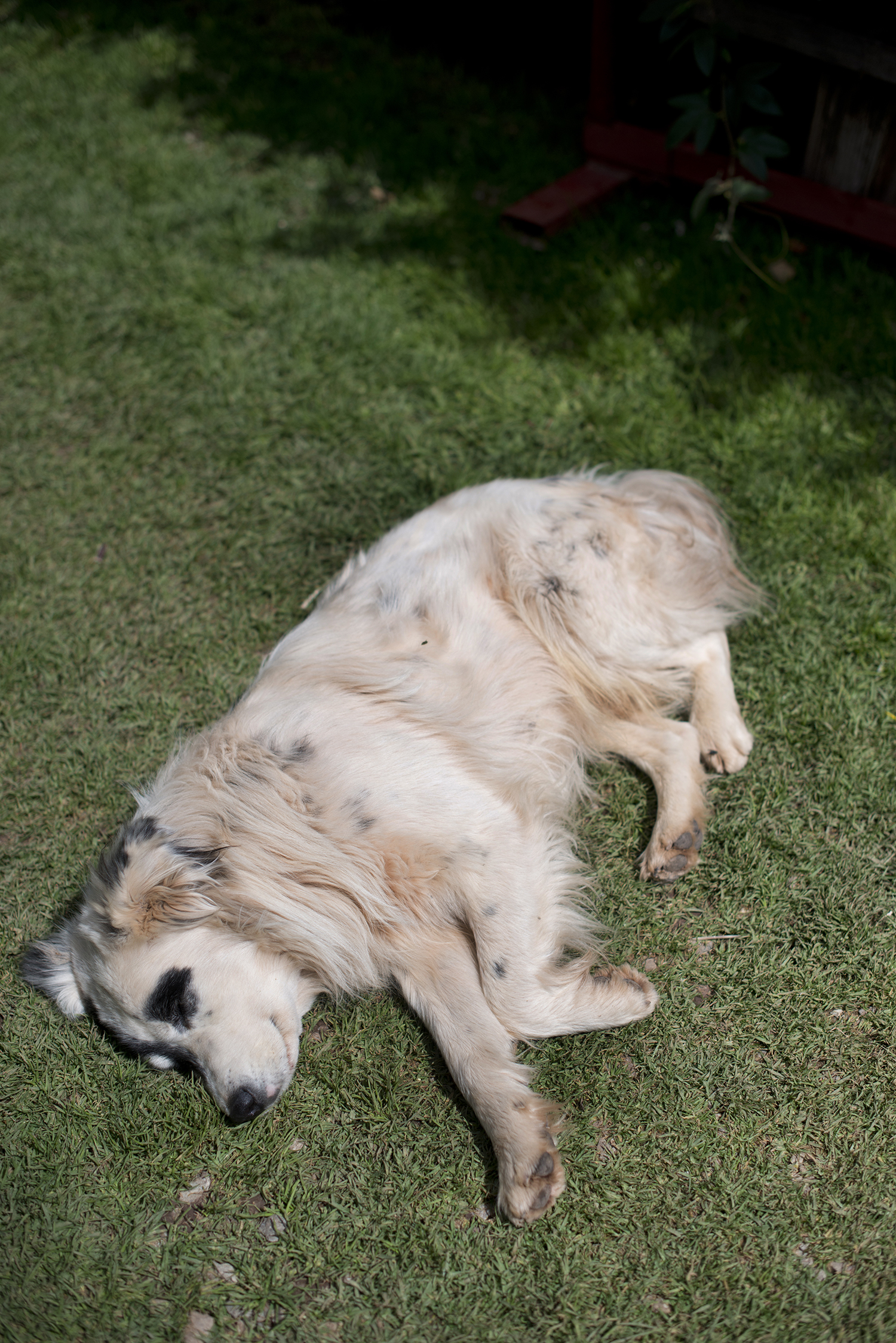 DSC_6619.jpg