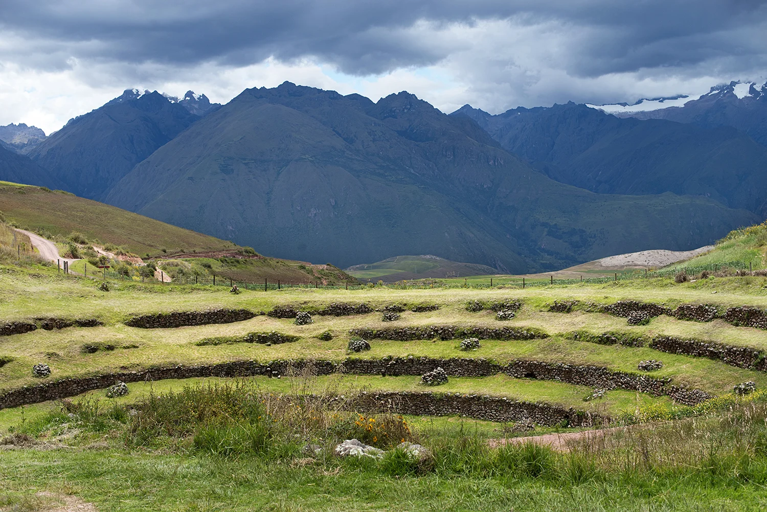 DSC_6754.jpg
