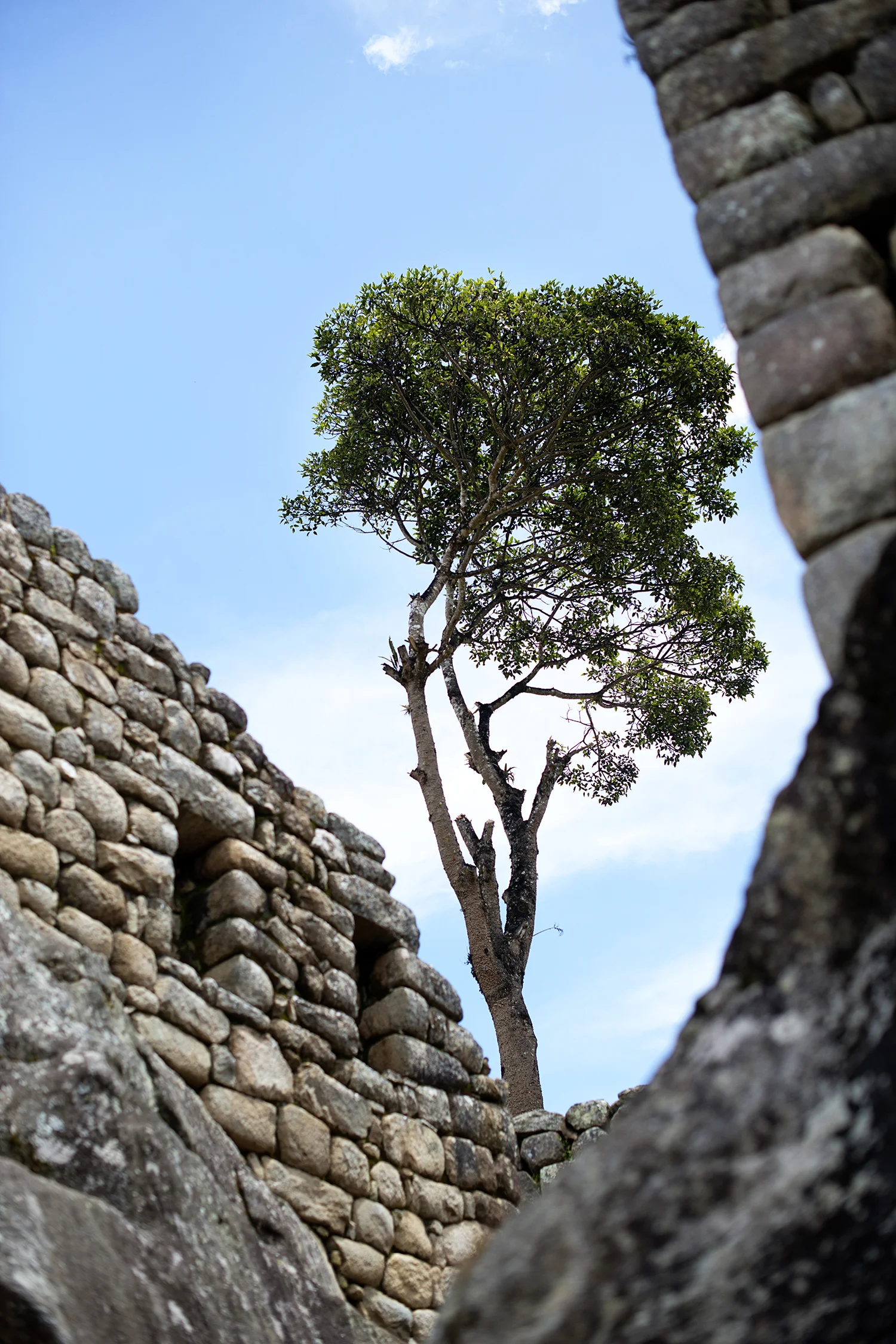 DSC_6875.jpg