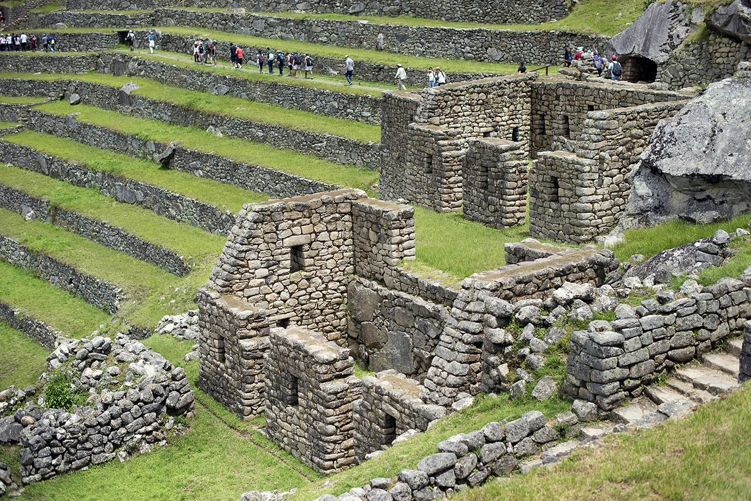 DSC_6877.jpg