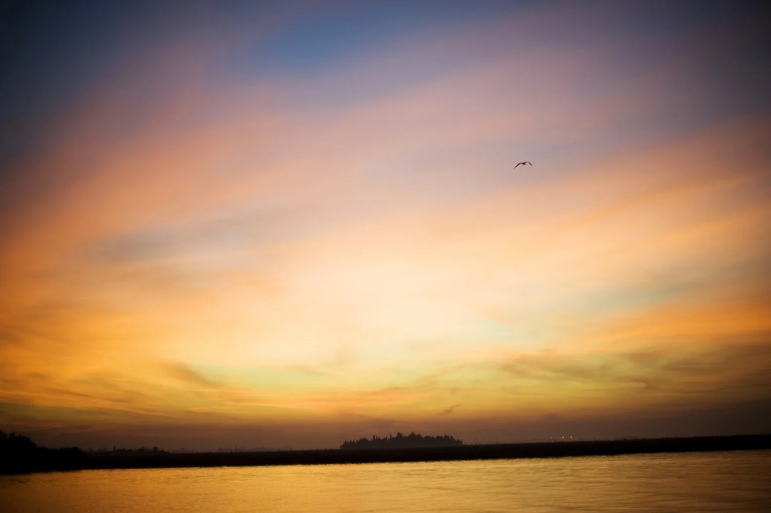Venice017.jpg