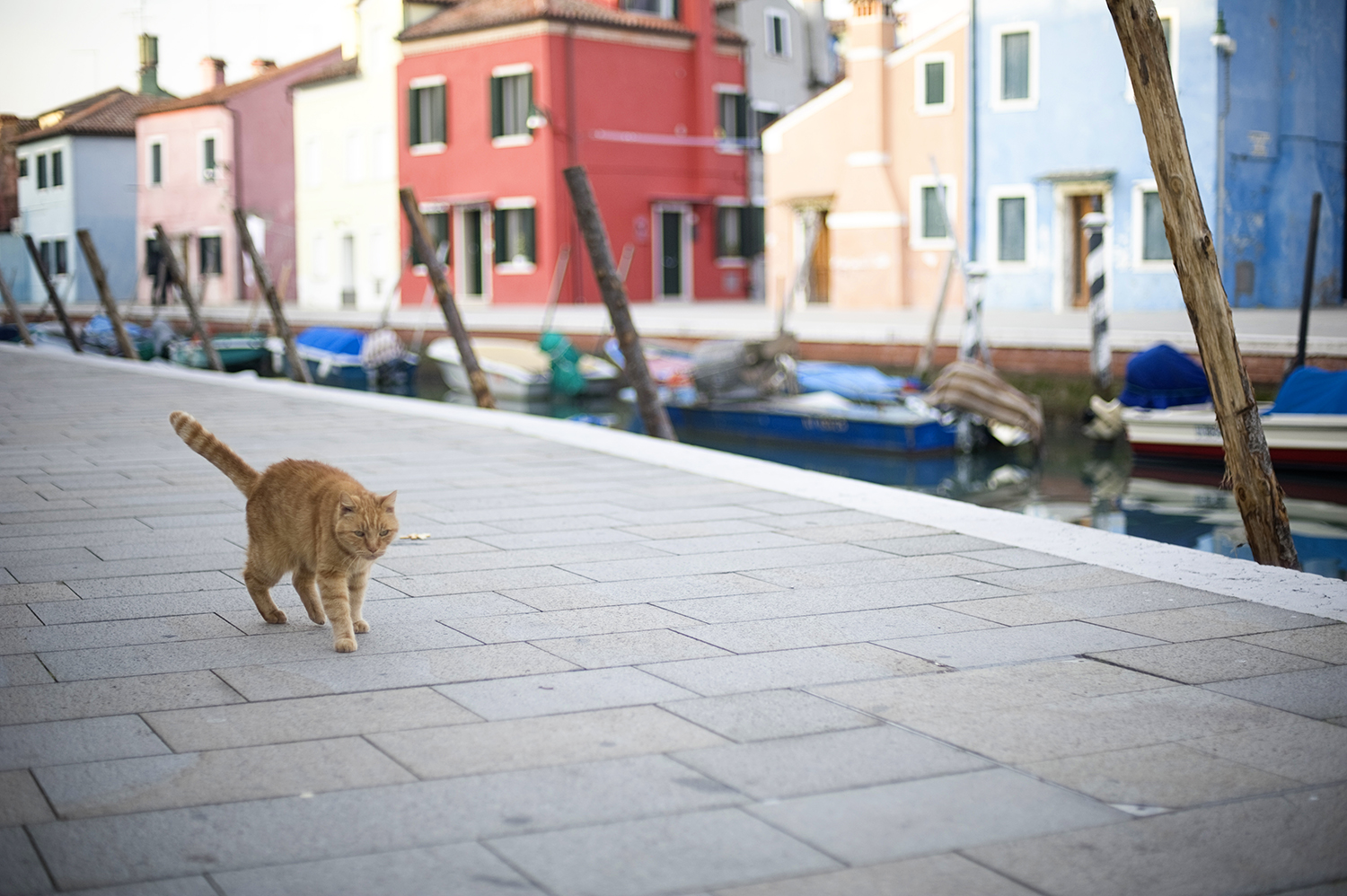 Venice055.jpg