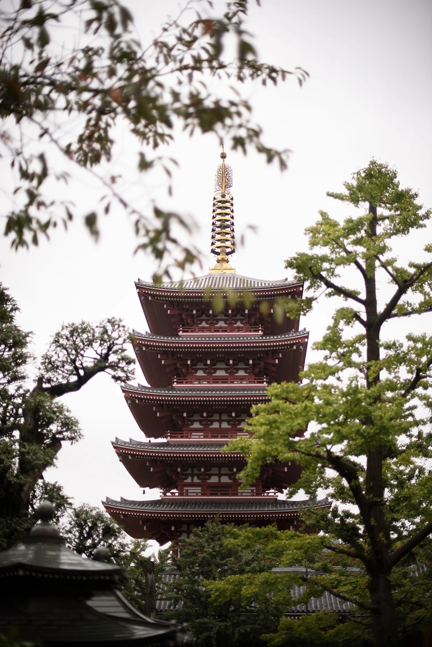 Japan003.jpg
