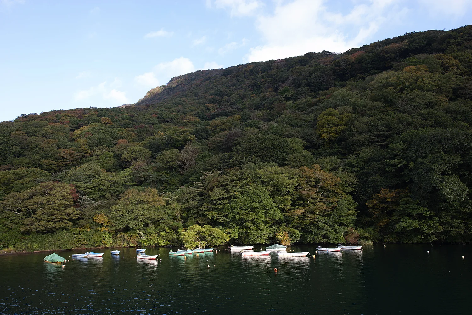 Japan015.jpg