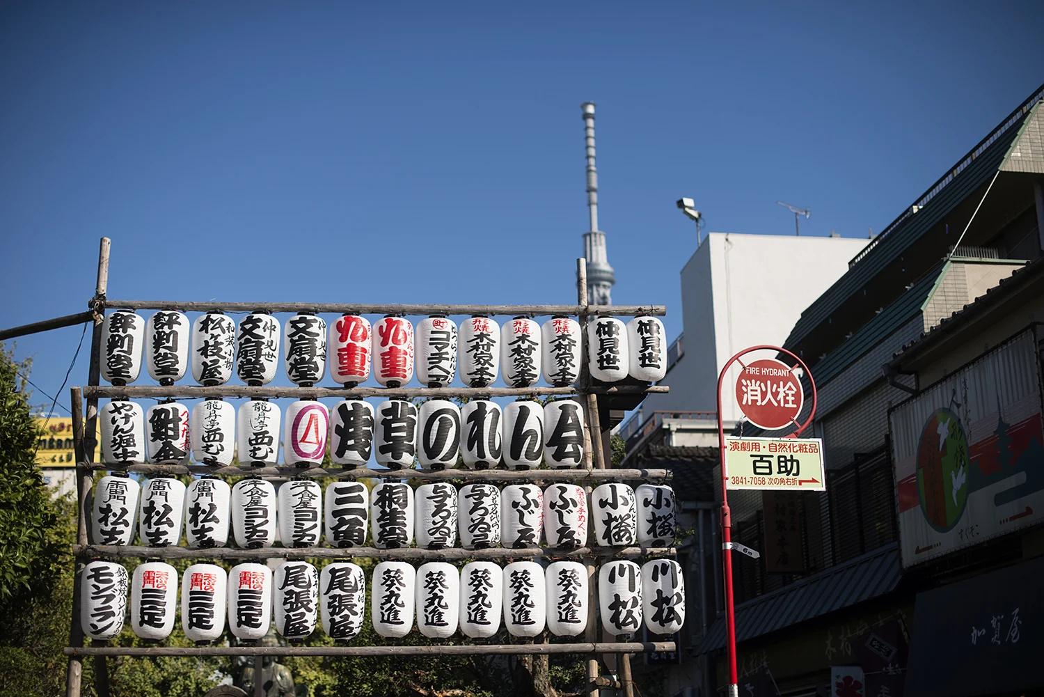 Japan027.jpg