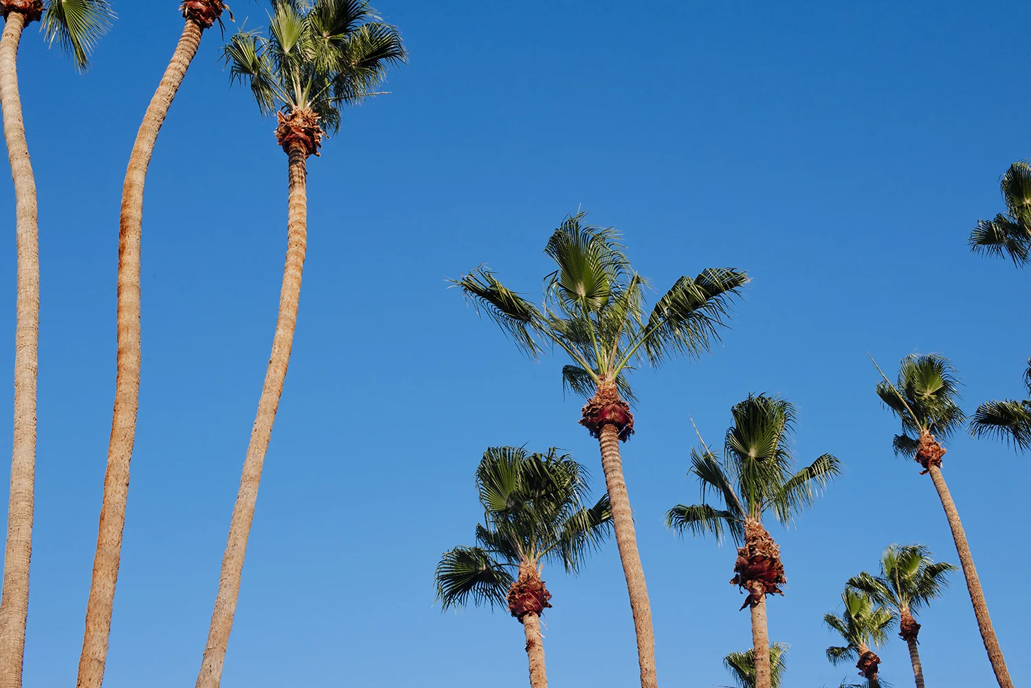 A Weekend in Palm Springs