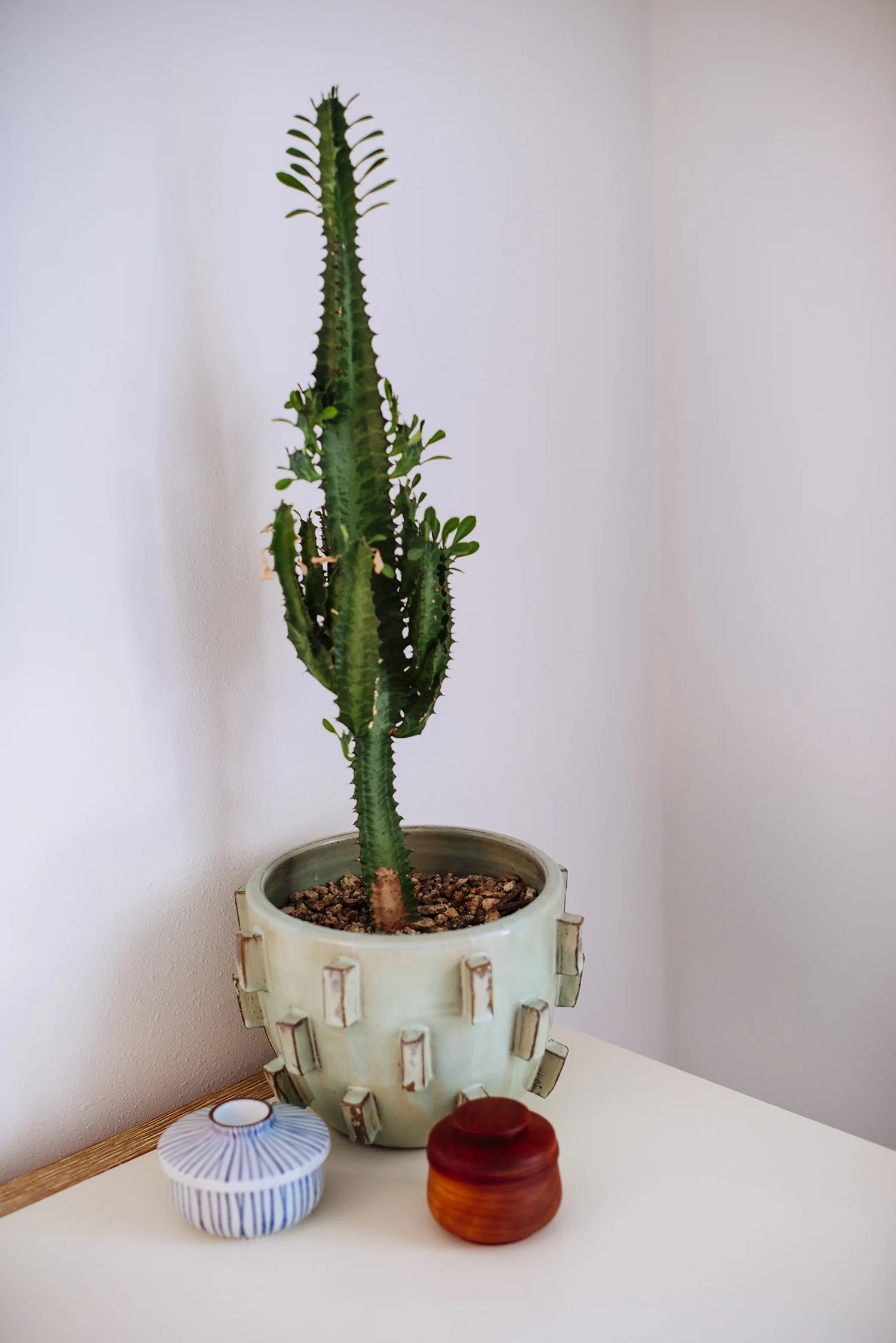 HolidayHouse021.jpg