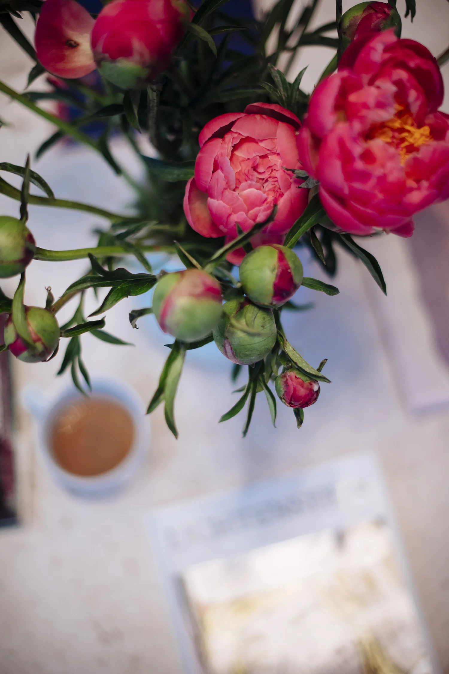 HolidayHouse039.jpg