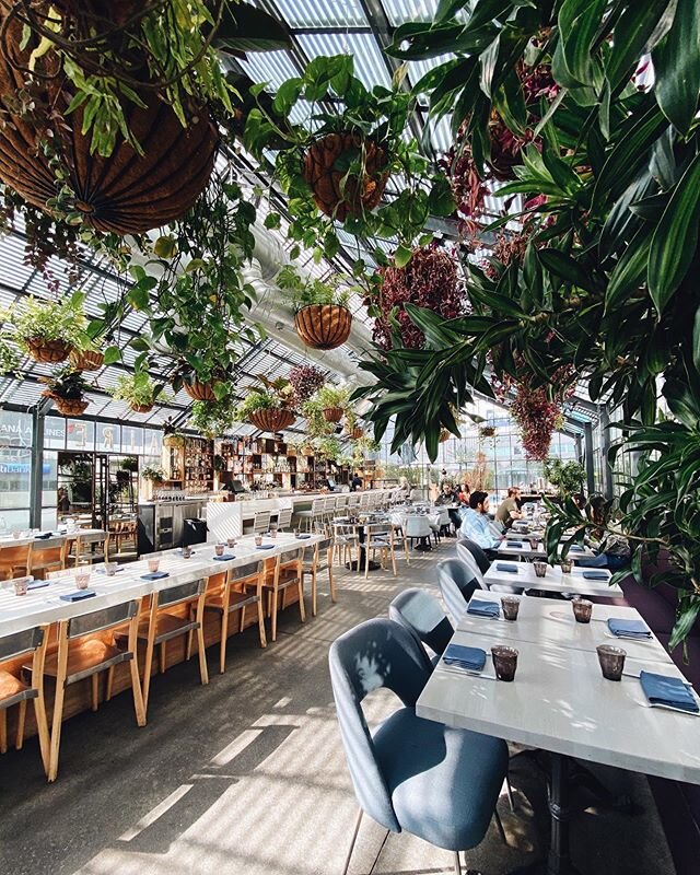 Don&rsquo;t stop beleafin&rsquo;! (See what I did there). Had breakfast in plant heaven in LA! 🌿