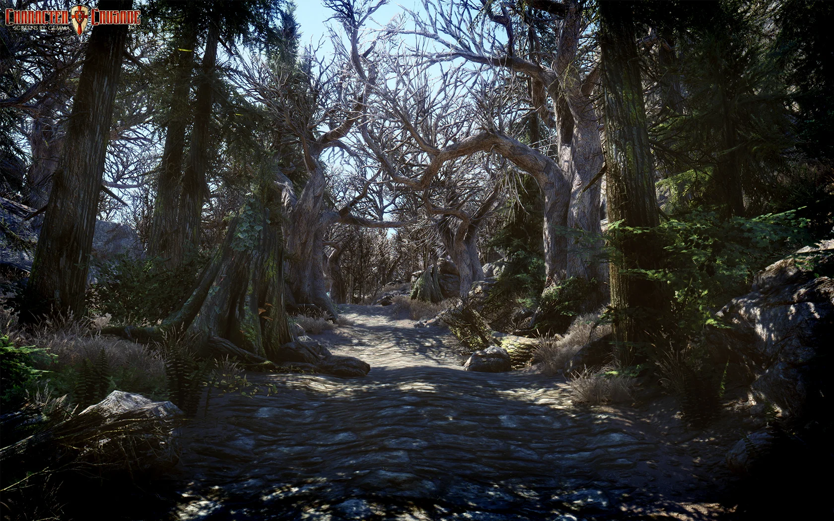 Wrong Path 1680x1050