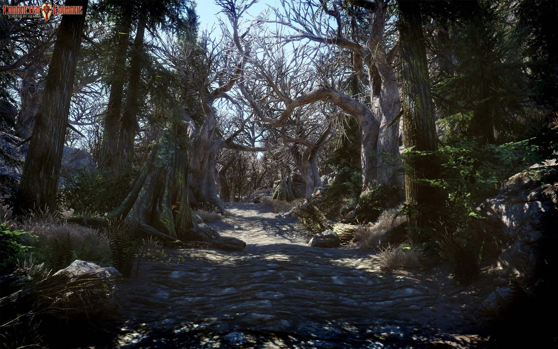 Wrong Path 1920x1200