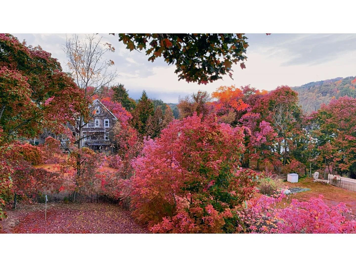 Binghamton 2020
.
.
.
.
#naturephotos #upstateny #binghamton #binghamtonny #iloveny #landscapephotography #landscapephotographer #fall #nyfall #fallinnewyork #autumn #fallcolors #visuelearth