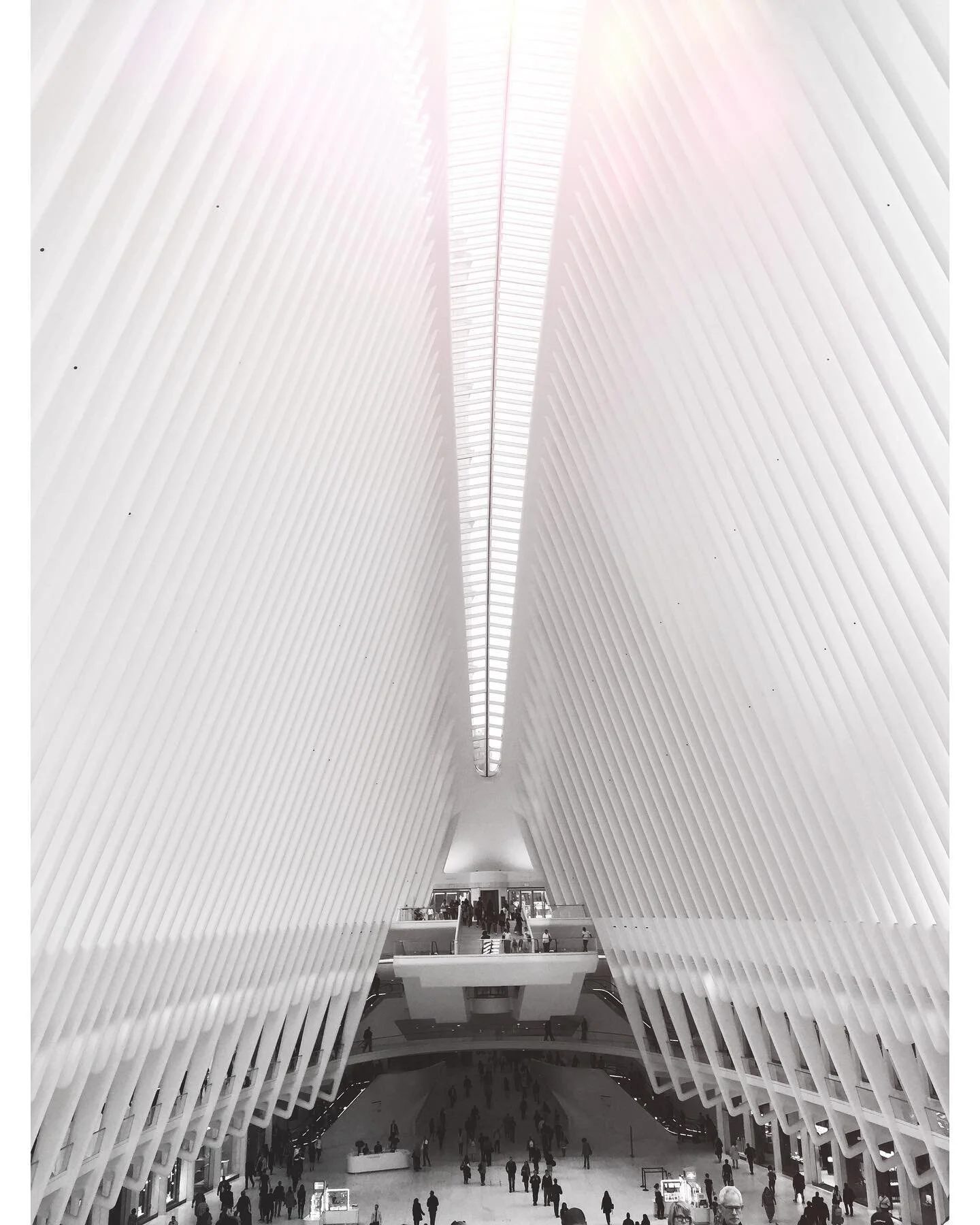 NYC 2017

Never forget.
.
.
.
.
#nyc #worldtradecenter #neverforget #september11 #manhattan #nycphotographer #nycphotography #streetphotography #architecture #architecturephotography #blackandwhite #blackandwhitephotography #theoculus #flashback #fla