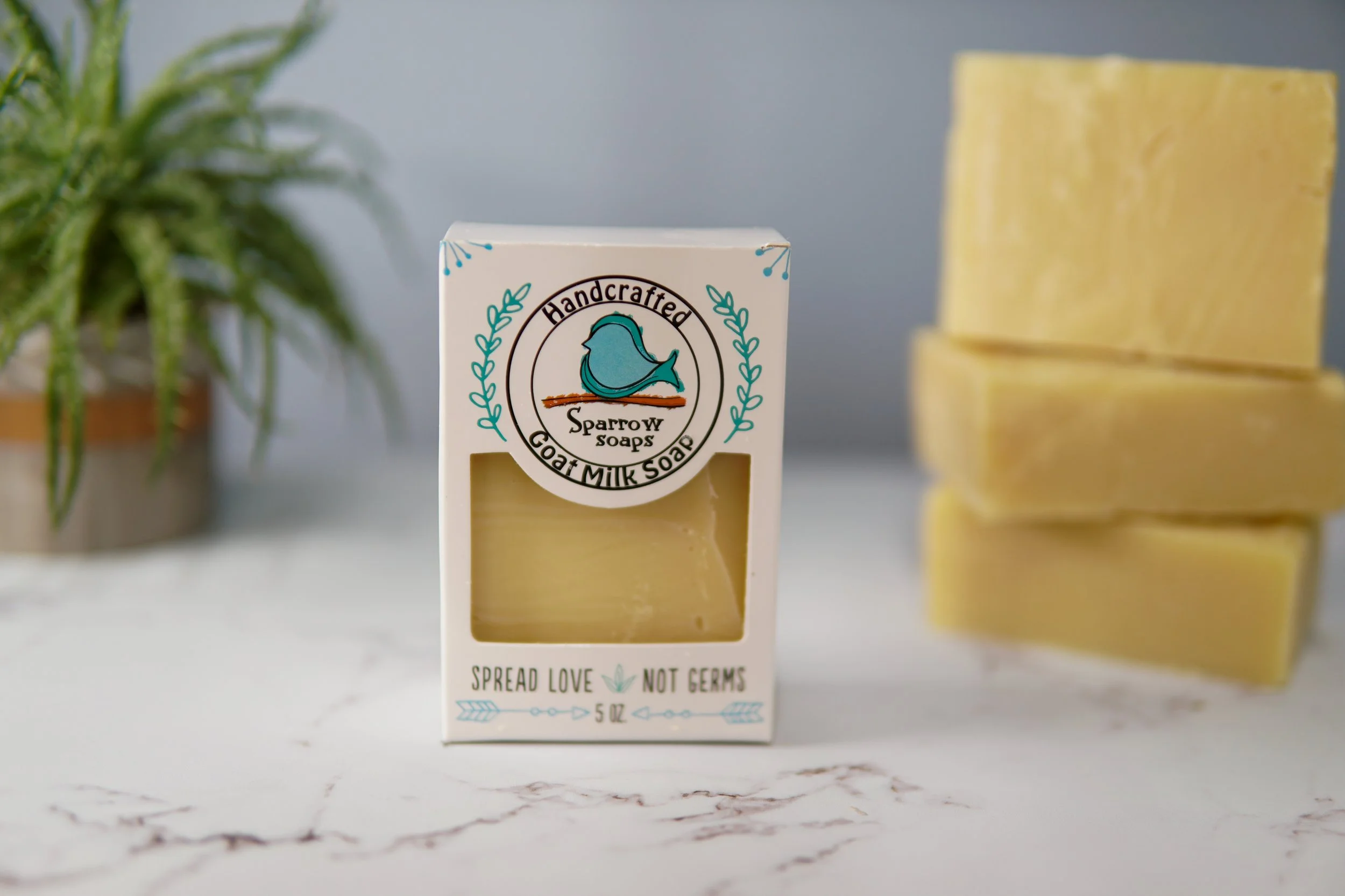 Just Beach-y goat milk soap