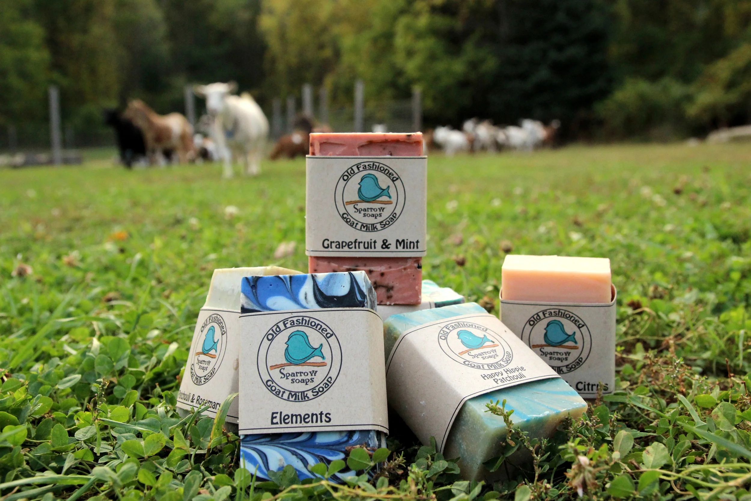 soapwithgoats.jpg
